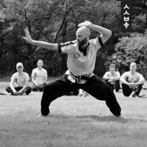 Systemic Martial Arts